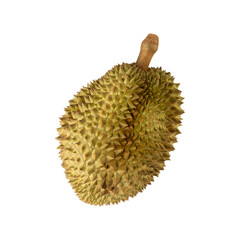 Durian, cutout, full depth of field.