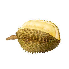 Durian, cutout, full depth of field.