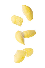 Falling Durian, cutout, full depth of field.