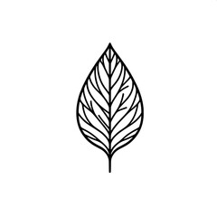 Black and White SVG of a Minimal Leaf Outline