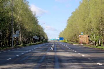 The route between the trees on a summer morning.