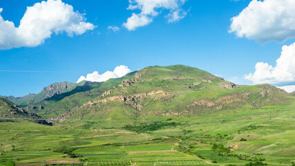 panoramic view of green field and gardens on slope