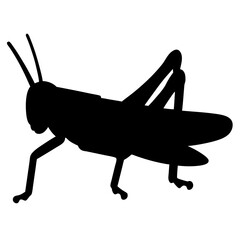 Silhouette of a Grasshopper Showing Distinct Body Sections and Leg Structure