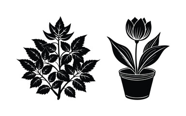 A vector illustration shows a black and white flower in a pot, a lovely floral houseplant decoration.