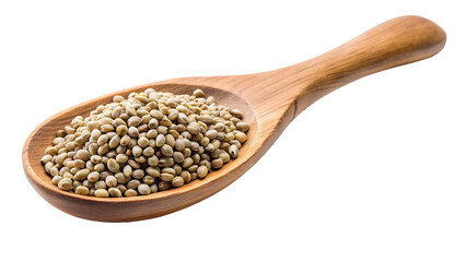Hemp Seeds in Wooden Spoon on Black Background Close Up View of Healthy and Nutritious Food Source for Vegan Diets