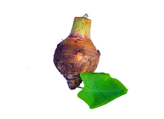 Taro head and leaves on white background. Soft and selective focus.