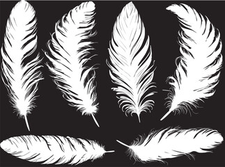 six fluffy medium silhouettes of feathers isolated on black
