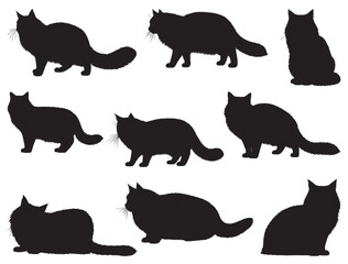 SIBERIAN CAT SILHOUETTE