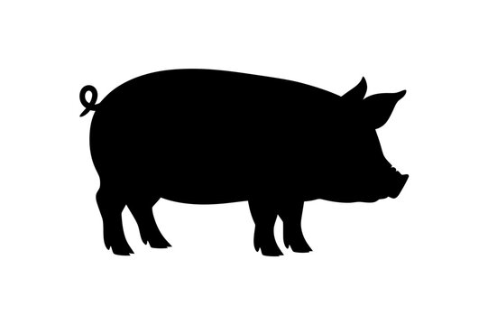 Pig silhouette vector illustration farm animal