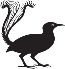 lyrebird vector