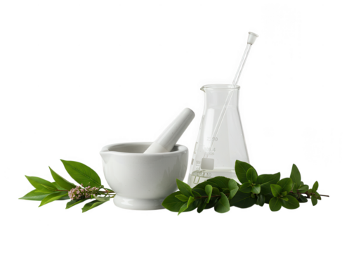 Herbal medicine mortar pestle erlenmeyer flask isolated on transparent background