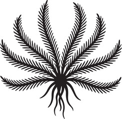 feather star vector