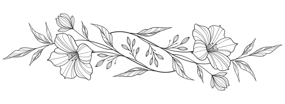 Elegant minimalist modern flower  line art vector illustration on transparent background