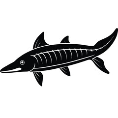 Obraz premium sturgeon vvector