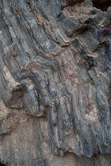 Stone Background. Textured metamorphic rock surface with visible striations. Geological and natural texture references.