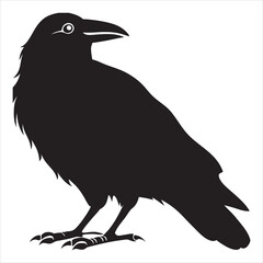  silhouette of crow back look