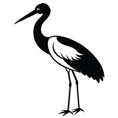 stork vector