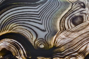 contrast agate from white and dark brown lines