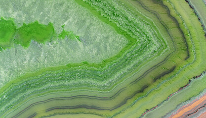 green and yellow agate structure macro