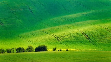 Beautiful spring landscape with field, hills and sunset. Czech Republic - South Moravia (Moravian Tuscany.) Concept for agriculture, travel, environment and nature.