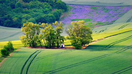 Beautiful spring landscape with field, hills and sunset. Czech Republic - South Moravia (Moravian Tuscany.) Concept for agriculture, travel, environment and nature.