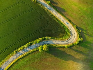 Road with cars between green fields from above - view of nature from a drone. Beautiful landscape concept suitable for transportation, agriculture and environment.