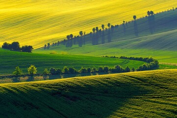 Beautiful spring landscape with field, hills and sunset. Czech Republic - South Moravia (Moravian Tuscany.) Concept for agriculture, travel, environment and nature.