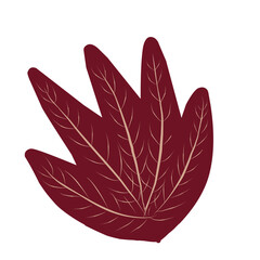 Burgundy maple leaf icon