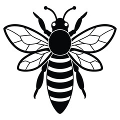 Cartoon insect vector illustrations of a bee and wasp on a flower, symbolizing nature's wildlife