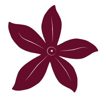 Burgundy flower isolated on white