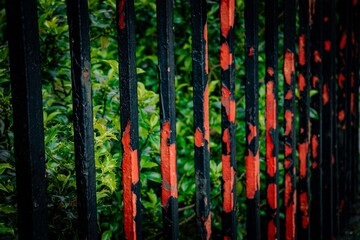 Weathered iron fence with paint peeling