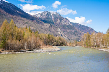 Chuya River flowing through dense forest and mountains in Altai Russia. Wild Siberian landscape...