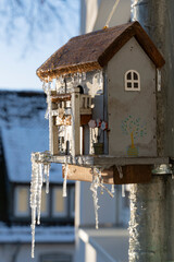 Eis am Vogelhaus