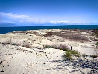 Dünen der Kurischen Nehrung in Litauen
