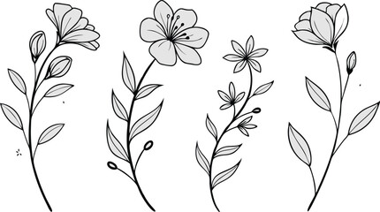 Minimal Botanical graphic sketch drawing, trendy tiny tattoo design, floral elements minimalist black and white vector illustration of five elegant botanical sketches.