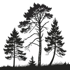 Obraz premium pine tree silhouettes solid white background .eps