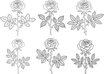 Rose Flowers Line Art Vector &ndash; Floral Outline Drawing, Symmetrical Botanical Design, Black and White Rose Clipart for Coloring and Tattoos | Elegant Rose Drawings with Detailed Leaves and Stems