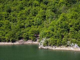 river in the forest