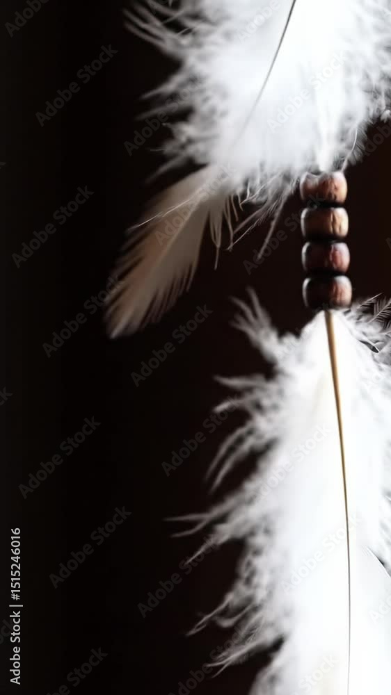 Poster macro close-up video of soft, wispy white feathers with dark brown wooden beads on a thin string, ge