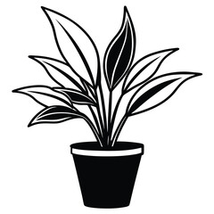 silhouette house plant on white background