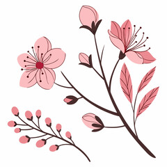 pink floral background