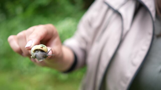 A slug in Dobbs Weir, Hoddesdon, UK