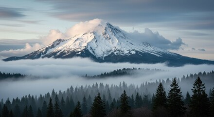 Snowy mountain peak rises above a sea of fog with a foreground of evergreen trees