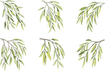 green bamboo leaves and branches, a fresh tropical plant silhouette Vectors illustrations
