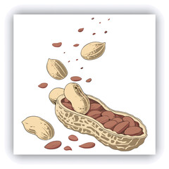 A split peanut pod, filled with scattered peanuts and peanut pieces, is shown in mid-air, with many pieces flying outward. The peanuts are a light brown color.  The pod is light beige, with a natural 