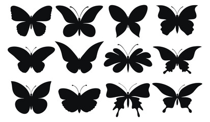 Fototapeta premium Monochrome Butterfly Pattern, Simple Elegant Nature Insect Design, On White Background 
