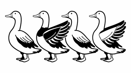 Fototapeta premium Black and white line art ducks in a row