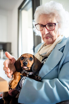 A grandmother holding a baby dachshund in her arms.