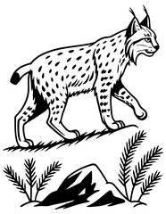 Bobcat Linocut Images, Stock and Simple Silhouette Illustrations, & Black Vector