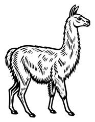 Llama Linocut Images, Stock and Simple Silhouette Illustrations, & Black Vector © kamruzzaman